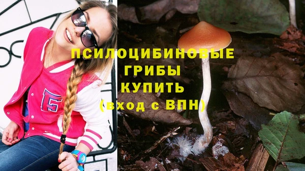 гидропоника Белокуриха