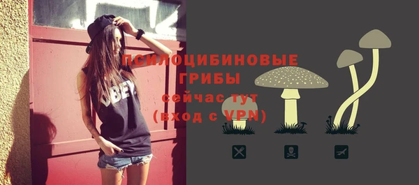 первитин Белоозёрский