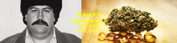 гидропоника Белокуриха