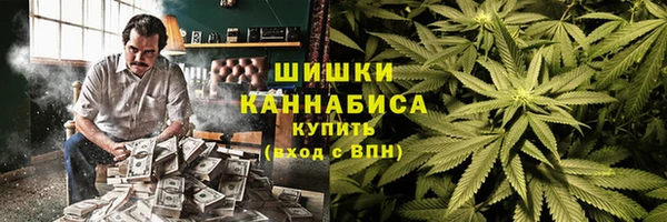 гидропоника Белокуриха