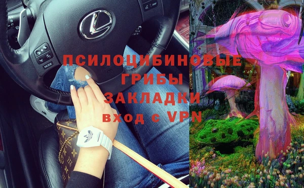 гидропоника Белокуриха